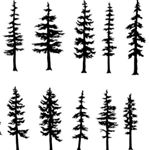 Profile Picture of Todd Bogdan (@teescapeslandscaping) on Instagram