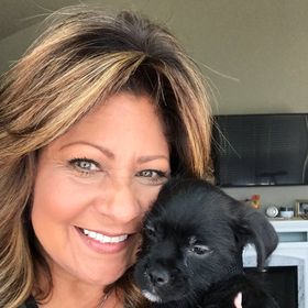 Profile Picture of Mike N' Cathy Saenz (@mikencathysaenz) on Pinterest