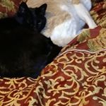 Profile Picture of Paulette Newby (@newbypsn1) on Instagram