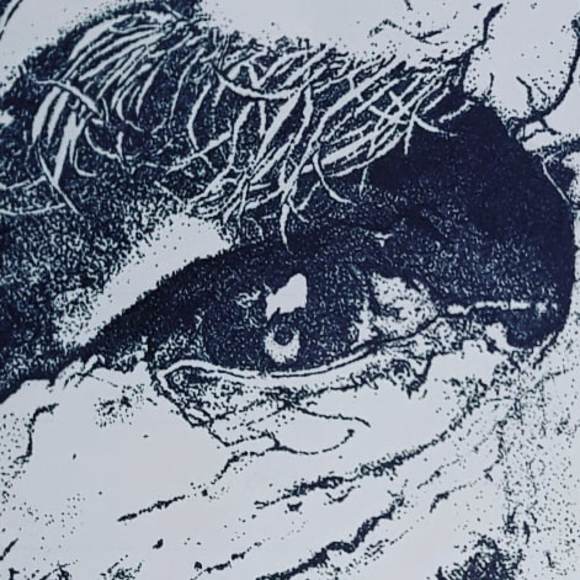 Profile Picture of Joshua Aguilera (@44936sad) on Poshmark