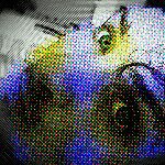 Profile Picture of laurienne (@lmassyn) on Instagram