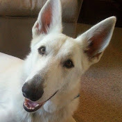 Profile Picture of Miglo X (@guerralopes) on Youtube