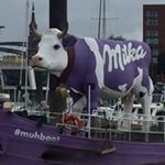 Profile Picture of Thomas Raschke (@thomasraschke) on Instagram