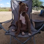 Profile Picture of Daniel Mouton (@daniel.mouton.731) on Facebook