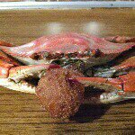 Floyd's Crossroads Pub - Instagram Profile Picture of Floyd's Crossroads Pub (@floyds_crossroads_pub) on Instagram