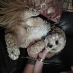 Profile Picture of D'Arne Thompson (@darnethompson) on Instagram