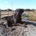 Profile Picture of Tom Farmer (@tom.farmer.758737) on Instagram