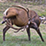 Profile Picture of Daniel Luna (@reconactual) on Flickr