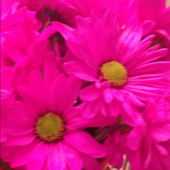 Profile Picture of Lakshmi Jasti (@komarneni) on Poshmark