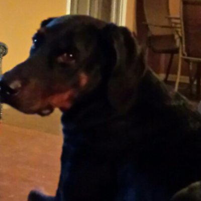 Profile Picture of Javier 4 Mayor (@JavierEasley1) on Twitter