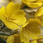 Profile Picture of Jonathan Burgin (@jonathan_burgin) on Instagram