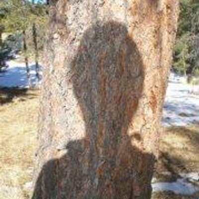 EnoughRope - Twitter Profile Picture of EnoughRope (@tedhickscomedy) on Twitter