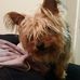 Profile Picture of Julie Clancy (@julie.clancy.146) on Facebook