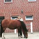 Profile Picture of   TikTok de 𓆉♡... (@its...annelie) on Tiktok