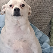 Profile Picture of Denise Sharpe (@denisesharpe8694) on Youtube