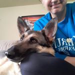 Profile Picture of Kelsey Judge (@ziek.en.moe) on Instagram
