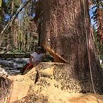 Profile Picture of Ron Carpenter (@ronald.carpenter.98) on Instagram