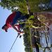 Profile Picture of Sean Callaghan (@sean.callaghan.98031) on Facebook