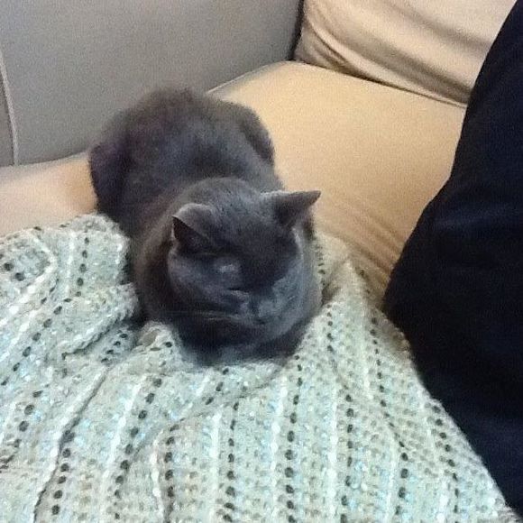 Profile Picture of Dee Lamando (@dee34) on Poshmark