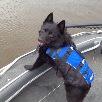 Ginette Goulet - Twitter Profile Picture of Ginette Goulet (@ggoulet76) on Twitter