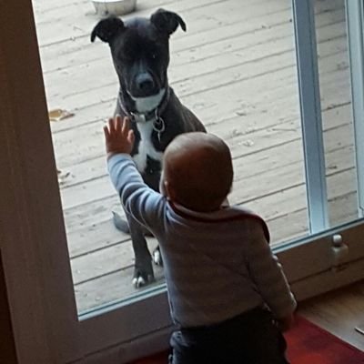 Profile Picture of Mitch Hogue (@hoguey803) on Twitter