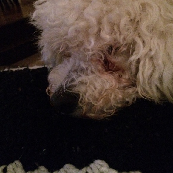 Trina Hepker - Poshmark Profile Picture of Trina Hepker (@trinahepker) on Poshmark