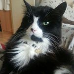 Lily O'Keeffe - Instagram Profile Picture of Lily O'Keeffe (@okeeffelily) on Instagram