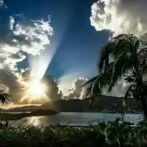 Profile Picture of Vince Evans (@vince_evans) on Poshmark