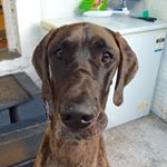 Erin Marsden - Instagram Profile Picture of Erin Marsden (@dovah_dane) on Instagram