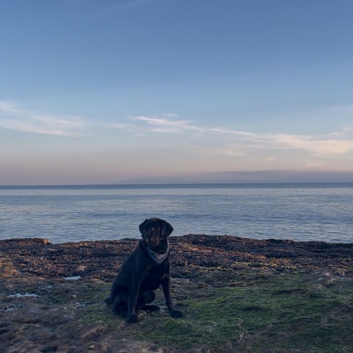 Profile Picture of elsie McGee (@cabbageprincess69) on Tiktok