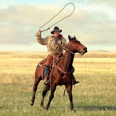 Profile Picture of Rancher Bob (@rancher_dude) on Twitter