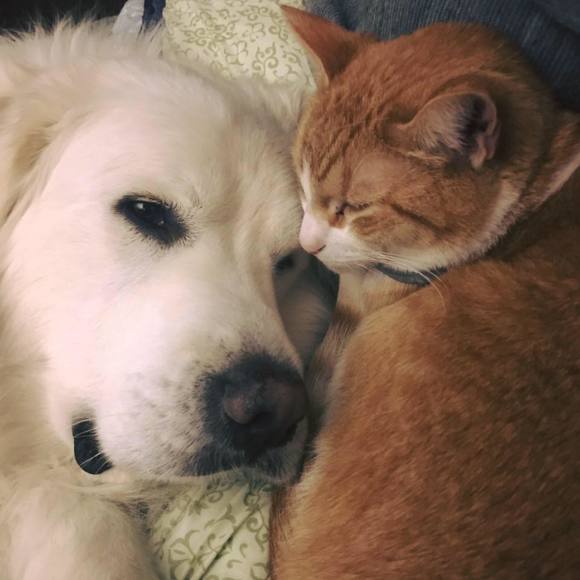 Profile Picture of Alexander Cole (@acole2007) on Poshmark