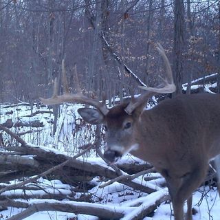 Profile Picture of Kevin Boersma (@kevin.boersma.98) on Facebook