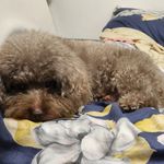 WeiKing - Instagram Profile Picture of WeiKing (@wei_king1010) on Instagram