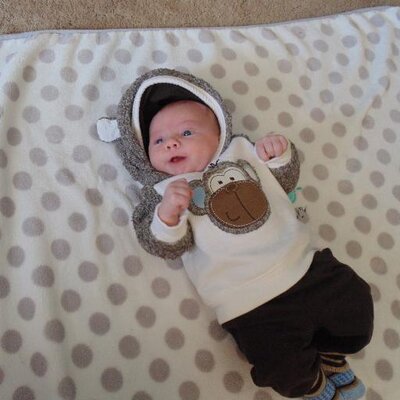 Profile Picture of Amanda B Weeden (@barretam) on Twitter