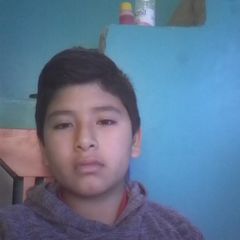 Profile Picture of David Olortegui Cruz (@davidolorte) on Tiktok