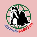 Profile Picture of Mundo Shih-tzu (@mundoshihtzus) on Instagram