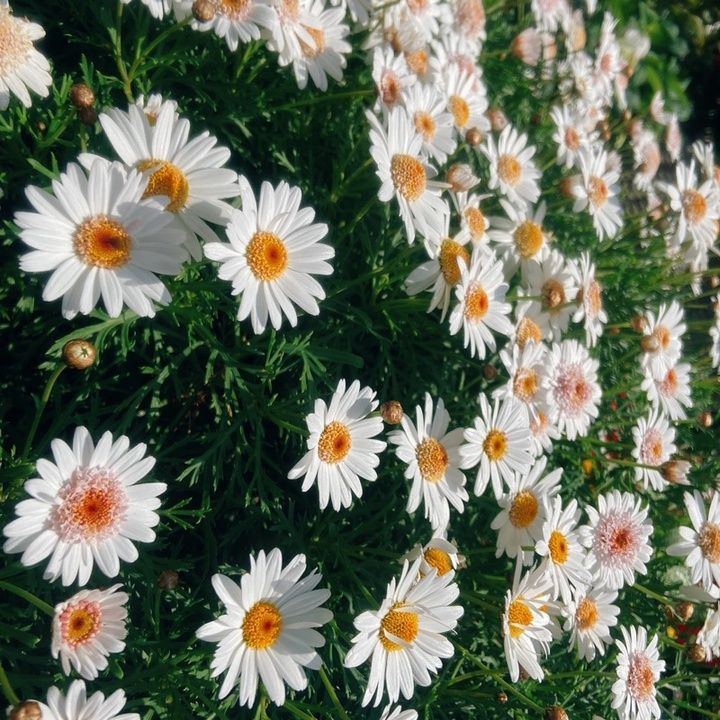 Profile Picture of Robin.Rodriguez (@robinrodriguezqyvswot) on Tiktok