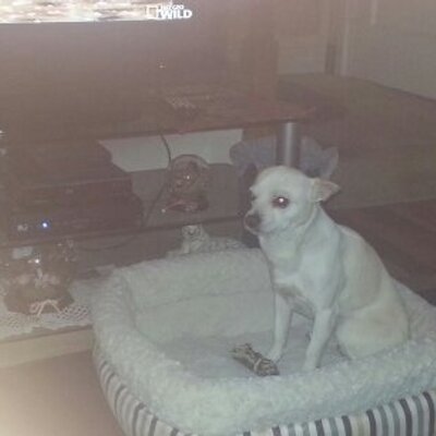 Profile Picture of David Brune Brune (@dbrune0577) on Twitter