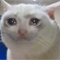 Profile Picture of Sam Shackleton (@sam-shackleton-7) on Quora