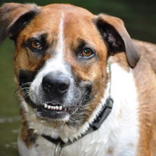 Profile Picture of Chris Kehoe (@chris.kehoe.39) on Facebook