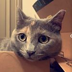 Profile Picture of Gamer (@hugh.honey_) on Instagram