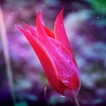 Profile Picture of Kroll Eugene (@directel) on Instagram