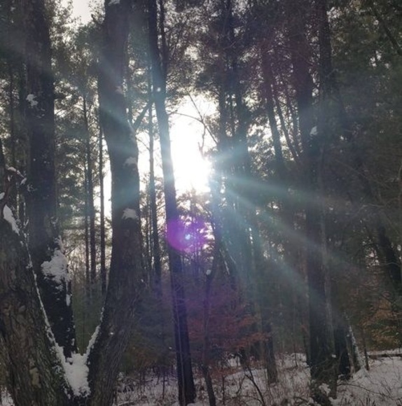 Profile Picture of Edith Burnie (@emburnie) on Poshmark