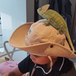 Profile Picture of Kyu & Eunice (@lucia_kim_0711) on Instagram
