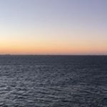 Profile Picture of John Jameson (@catlow_1532__jonas) on Instagram