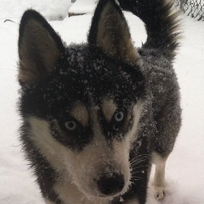 Profile Picture of Kim (@Kimcholewinski2) on Twitter