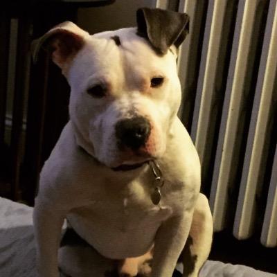 Profile Picture of Dwayne  Turner (@DTURNER19454) on Twitter