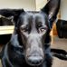 Profile Picture of Richard Bainbridge (@richard.bainbridge.96) on Facebook