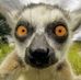 Profile Picture of Robert Olah (@robert.olah.370515) on Facebook